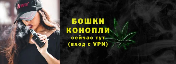 spice Карпинск