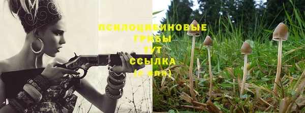 спайс Киренск